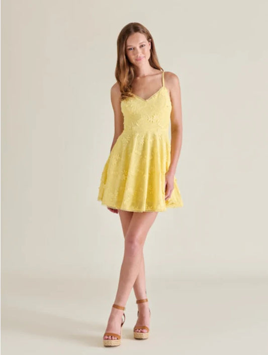 Steve Madden Gaia Dress in pale yellow