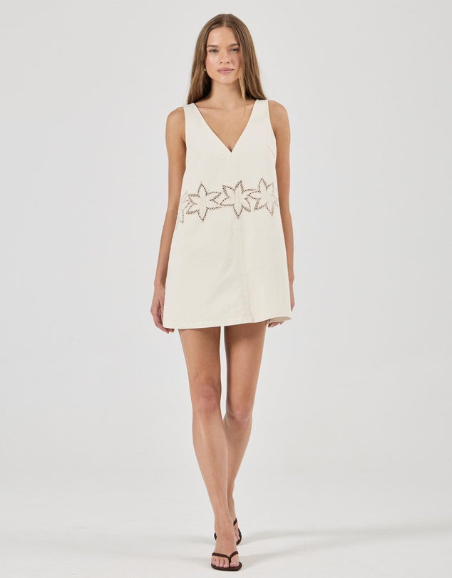 Rolla's Swing mini in bloom