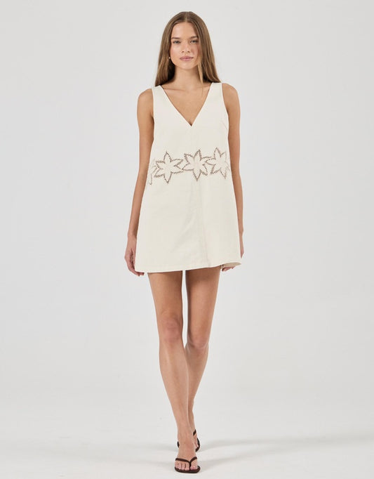 Rolla's Swing mini in bloom